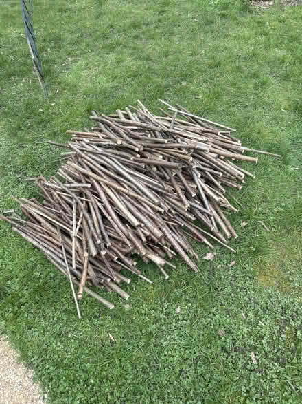 Photo of free Kindling (Tooting Bec/Balham SW17) #1