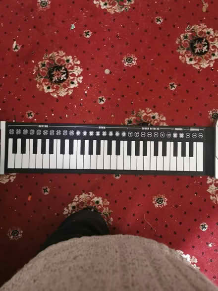 Photo of free Keyboard (Parkstone BH14) #2