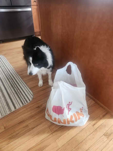 Photo of free Large bag Matchbox Hotwheels cars (virgil) #2