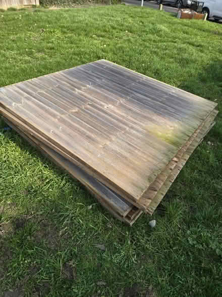 Photo of free 8x Fence panels, stand size (Sg29nb) #1