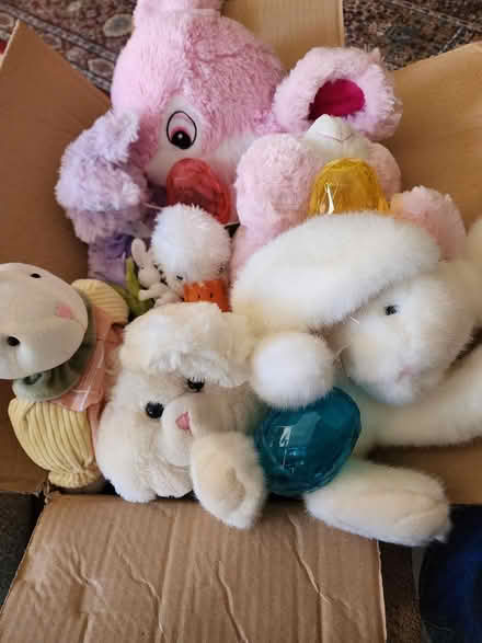 Photo of free Easter Stuuf (Redwood and Novato Blvd) #1