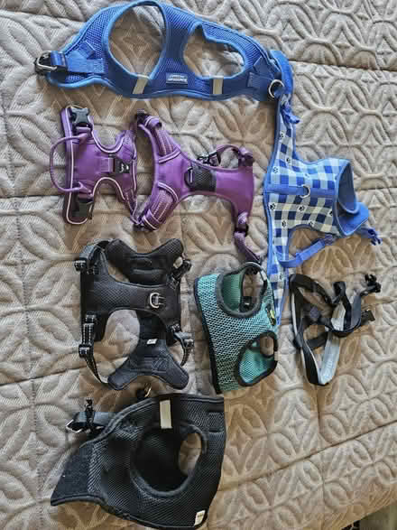 Photo of free Assorted dog harnesses (South San Francisco) #1