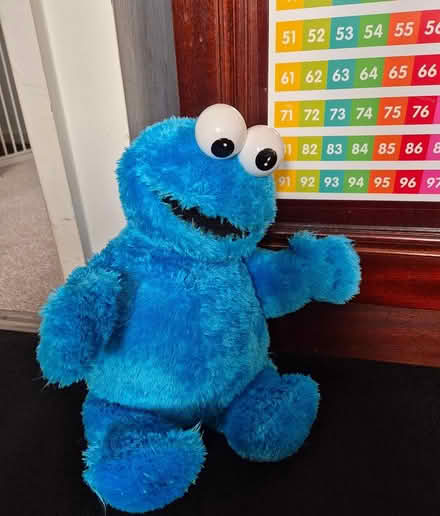 Photo of free Cookie monster plush (Worcester WR3) #1