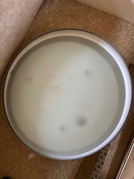 Photo of free Lamp (Brentford) #2