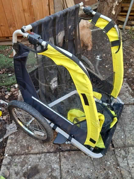 Photo of free Child bike trailer (Canford Heath, BH17 8) #1