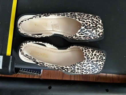Photo of free Women’s Flats (Taunton) #2