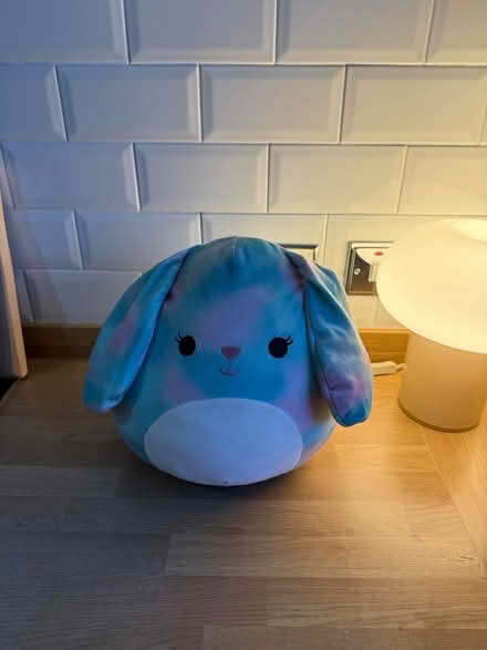 Photo of free Squishmellow Toy (EH7 Leith) #1