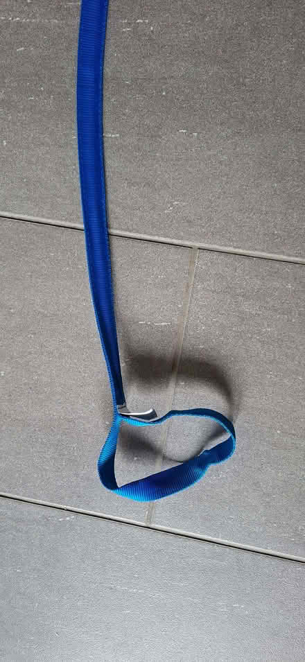 Photo of free Gadget to help lift a leg (Matlock DE4) #2