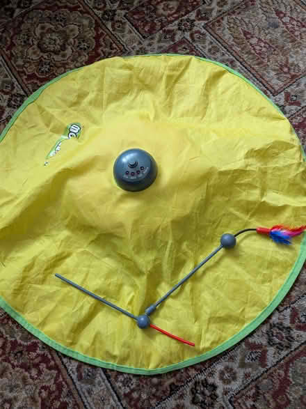 Photo of free Interactive cat toy (Loughton IG10) #1