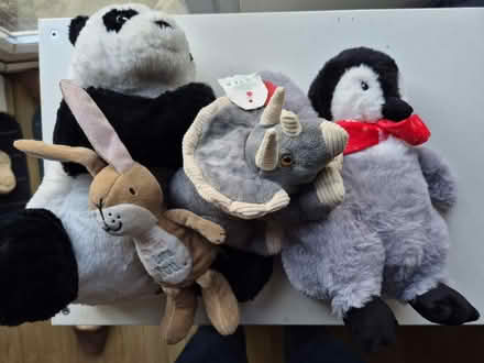 Photo of free Four soft toys (Horsham) #1
