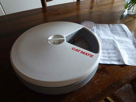 Photo of free cat mate (Bexleyheath DA6) #2