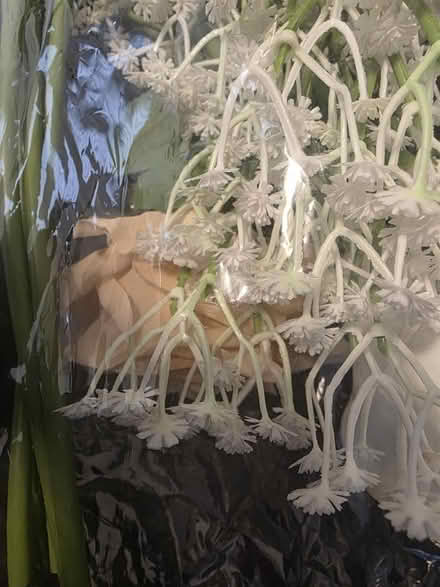 Photo of free Mixed lot of fake flowers (SG18) #2