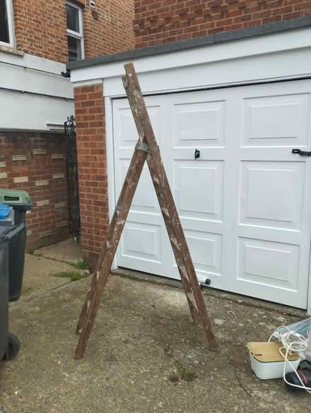 Photo of free Timber ladder (Crystal Palace) #2