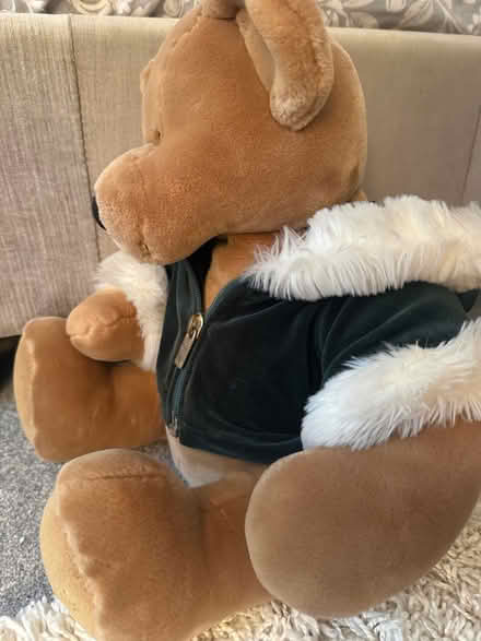 Photo of free 2001 Harrods Teddy Bear (Carshalton) #3