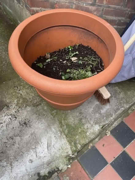 Photo of free Very Large Plastic Garden Pot (Haringey, near St Ann's, N15) #2