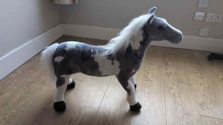 Photo of free Large stuffed toy horse (Dublin 16, near Ballyboden Rd) #1