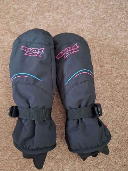 Photo of free Mitts (Penwortham Lane PR1) #1