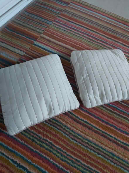 Photo of free Small cream cushions X 2 (Horsell GU21) #1