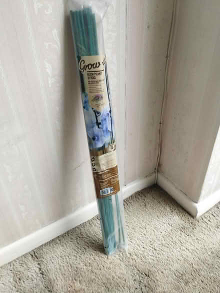 Photo of free Plant support sticks (Crystal Palace) #1