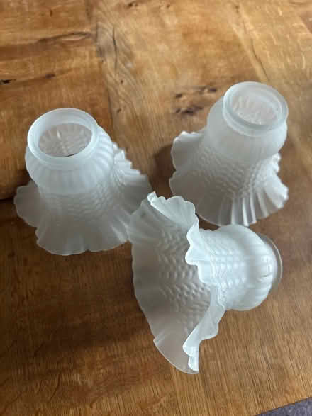 Photo of free Lamp shades (Funtley PO17) #1