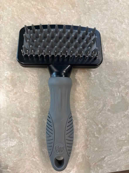 Photo of free Dog brush (Evanston (Green Bay & Emerson)) #1