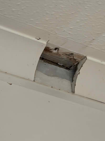 Photo of Coving For Ceiling (ME9) #1