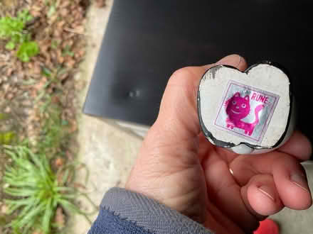 Photo of free 2 china ornaments (Nr Burgess Hill football club) #2