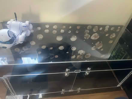 Photo of free Very large Terrarium (Shenley WD7) #2