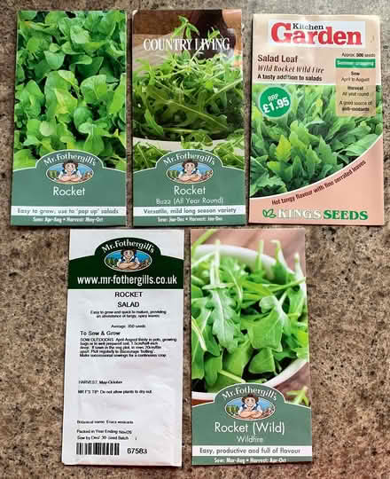 Photo of free Rocket Seeds (RG14) #1