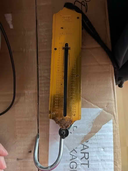 Photo of free Hanging scale (Greenwich SE10) #1