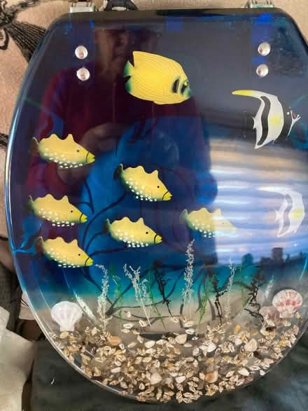 Photo of free Fish decorated toilet seat (Clayton le Woods PR6) #1