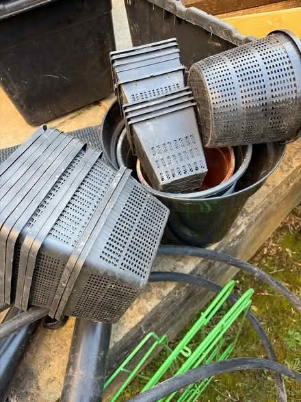 Photo of free Water plant pots (Richmond) #1