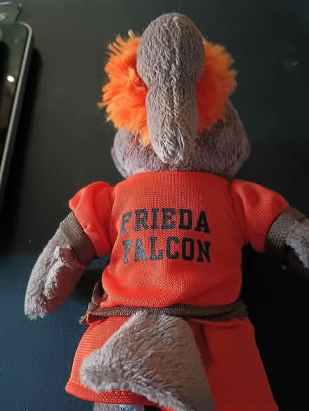 Photo of free Bowling Green S U Mascot (Virginia Beach - Salem Lakes) #3