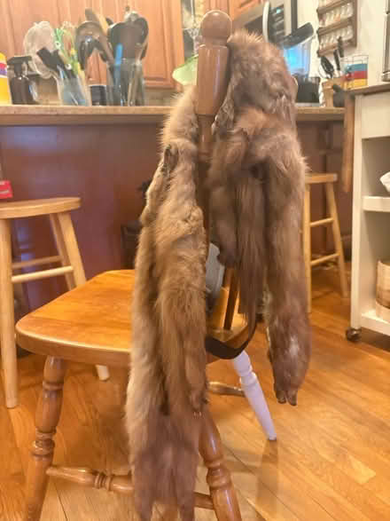 Photo of free Vintage mink scarf (Boston) #3