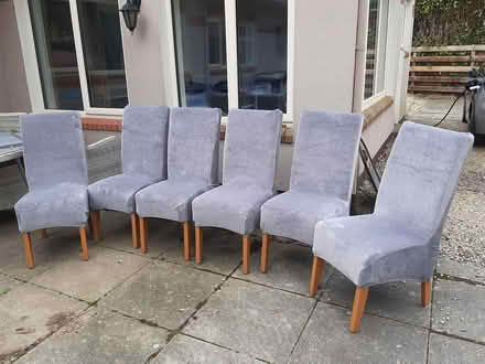 Photo of free 6 dining room chairs (Delgany) #1