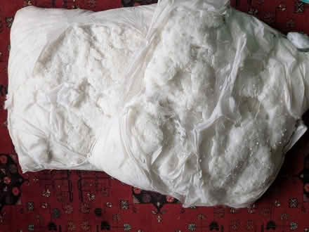Photo of free Cushion stuffing (Clapton E5) #2