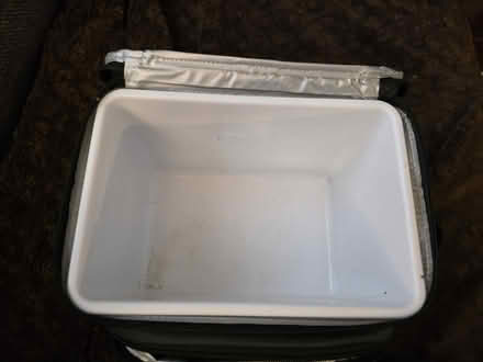 Photo of free Lunch Box Needs Slight Care (Near Downtown Ypsilanti) #3