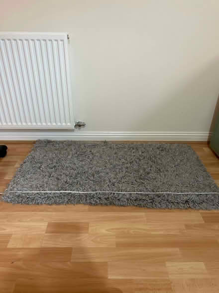 Photo of free Grey rug (Dennistoun, G31) #1