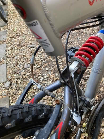 Photo of free Bike (Helsby) #4