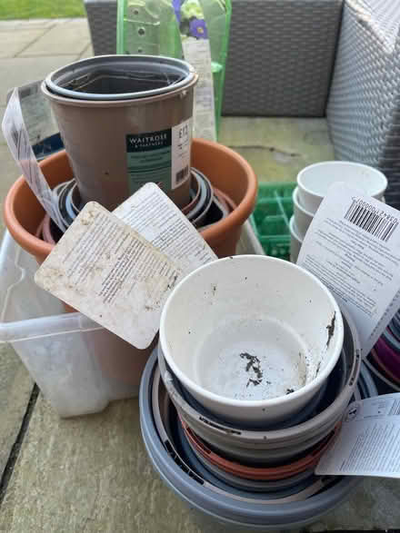 Photo of free Selection of plant pots (Bedford) #2