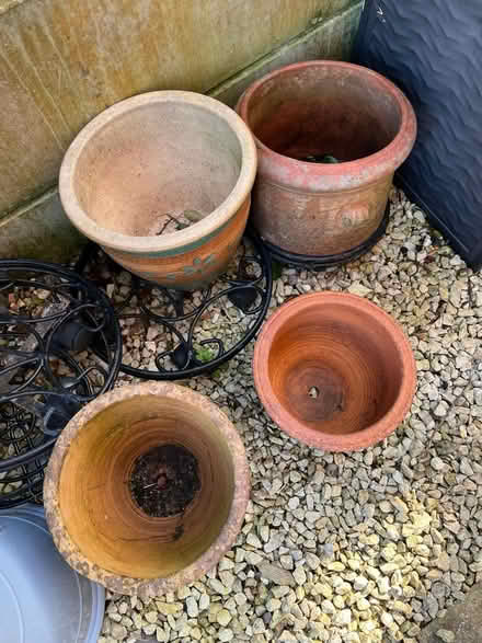Photo of free Terracotta Plant Pots (Shenley WD7) #1