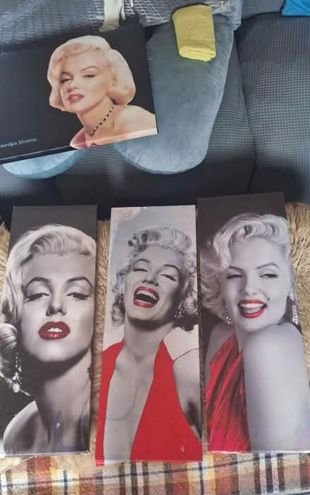 Photo of free 6 Marilyn Monroe Canvases (Welling DA16) #2