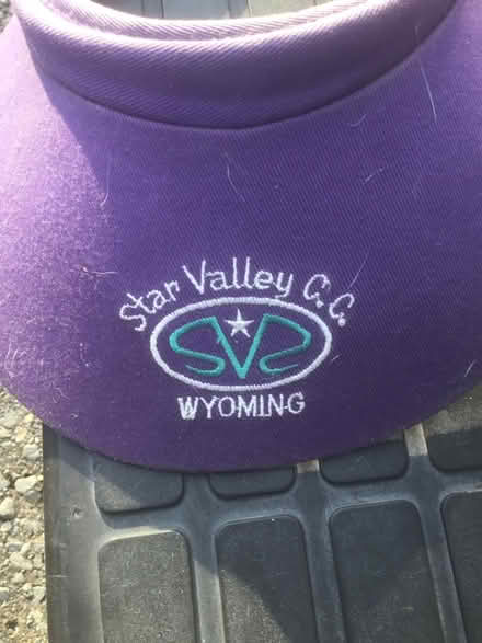 Photo of free Apron, visor, bowl, wind spinner (Morrisville) #2