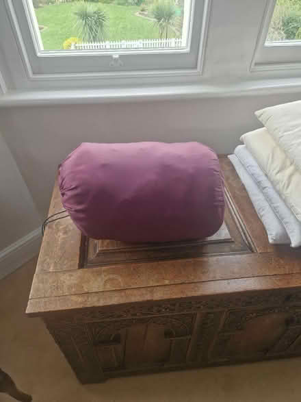 Photo of free Sleeping bag (Southborough) #1