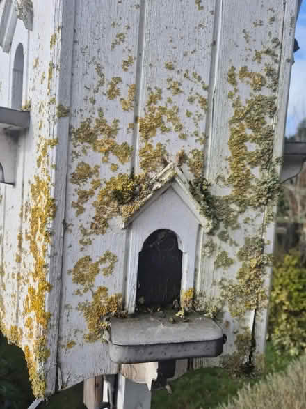 Photo of free Dovecote/Birdhouse (Sudbury CO10) #4