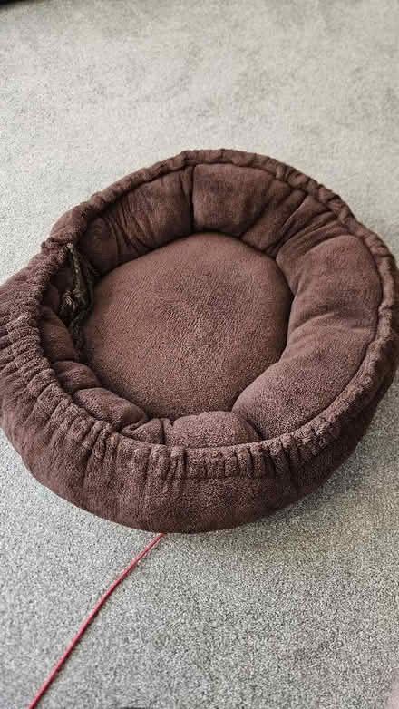 Photo of free Dog bed (Sutton HU8) #1