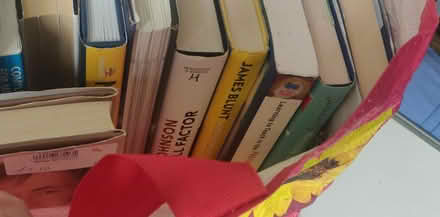 Photo of free 2 Bags of Books (Child's Hill NW2) #2