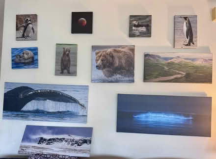 Photo of free Framed prints (Bethesda) #2