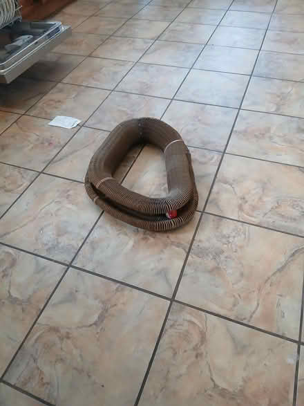 Photo of free Cat toy (Yonge and Sheppard) #1