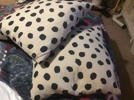 Photo of free X2 feather filled cushions (Brentry BS10) #1
